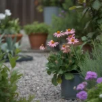 A beautifully landscaped small yard featuring budget-friendly DIY ideas for outdoor transformation.