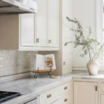 Stylish kitchen countertop decor showcasing functional and aesthetic elements.