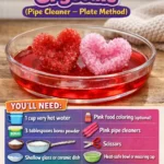 Growing Heart Crystals (Pipe Cleaner – Plate Method)