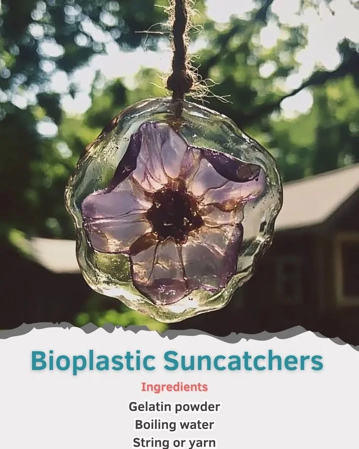 Bioplastic Suncatchers