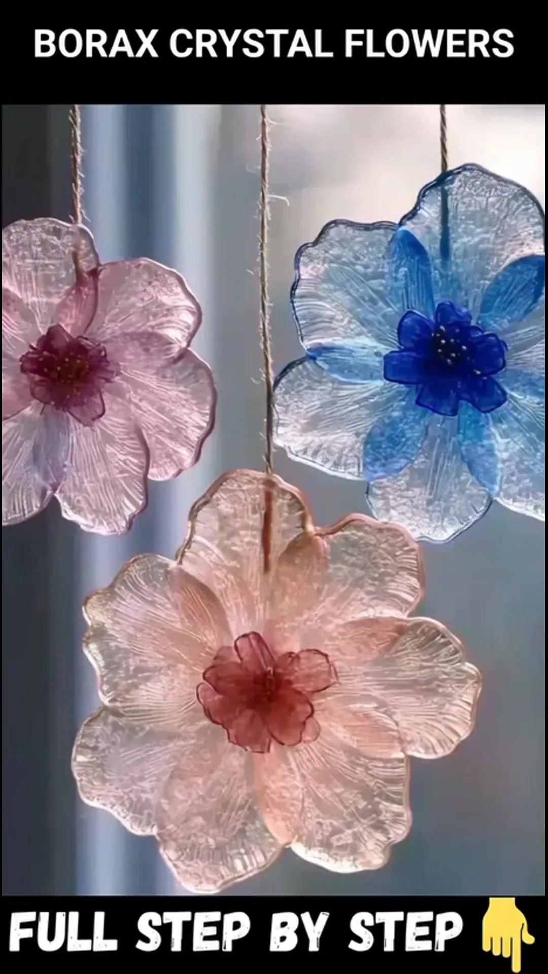 Borax Crystal Flowers