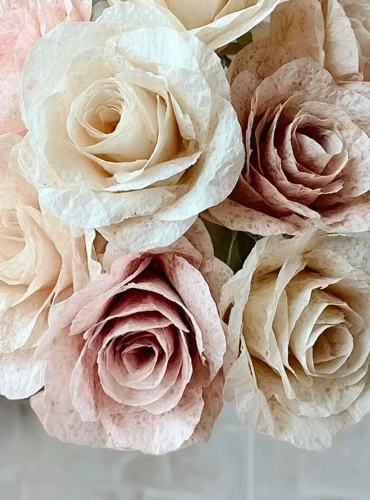Coffee Filter Flowers And Simple Paper Crafts
