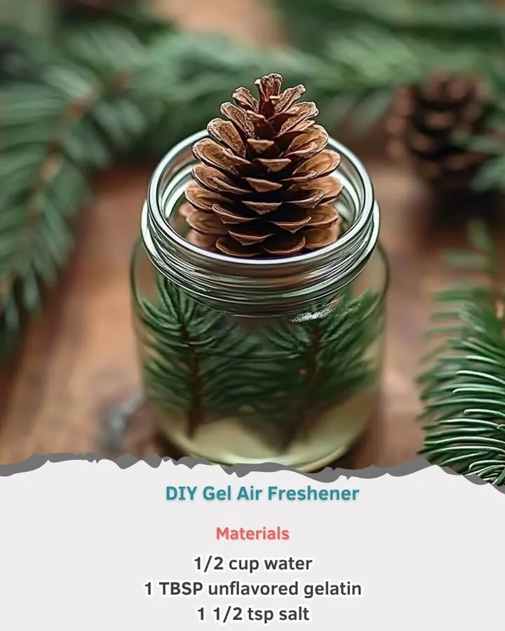 DIY Gel Air Freshener