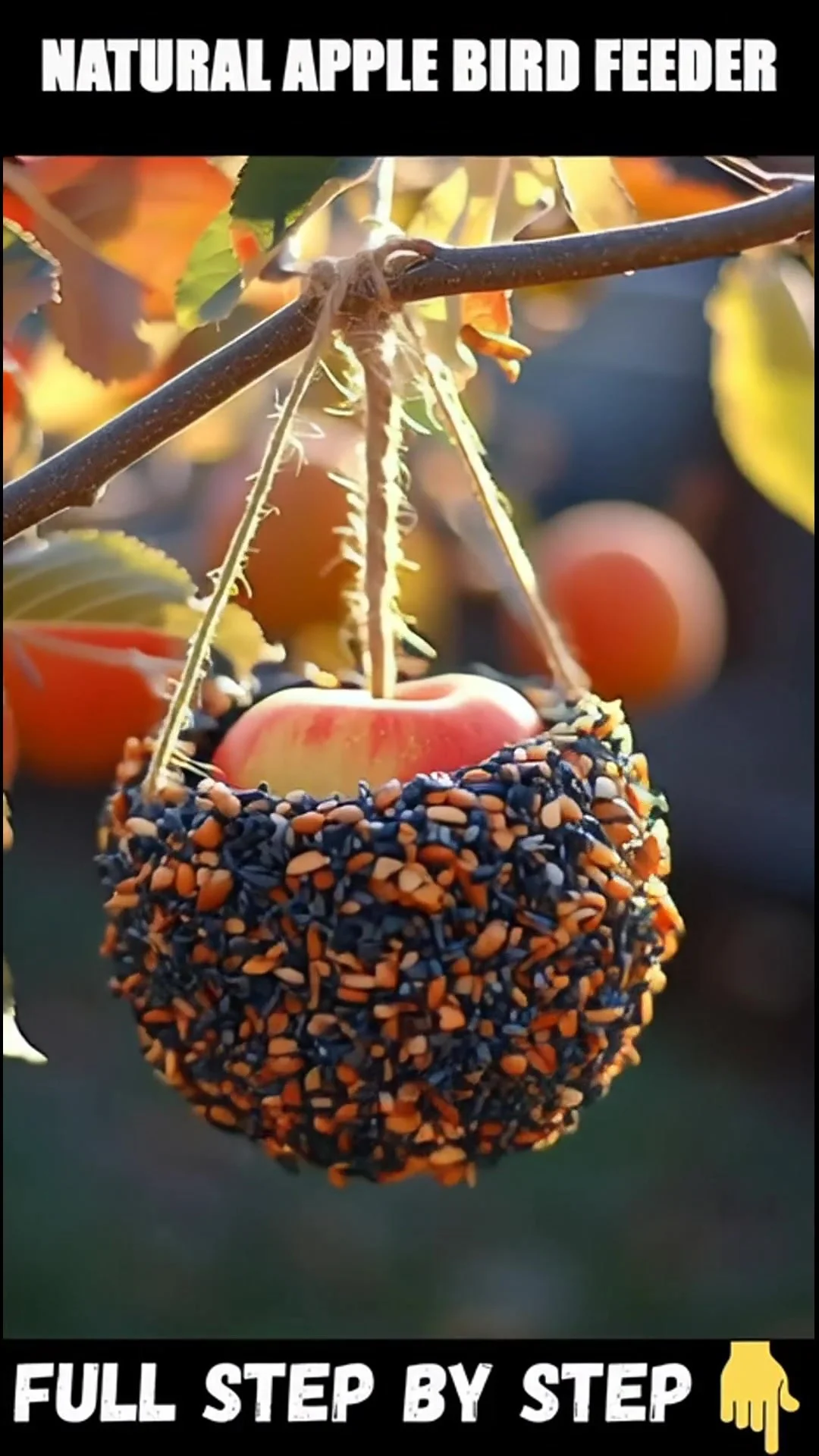 Natural Apple Bird Feeder