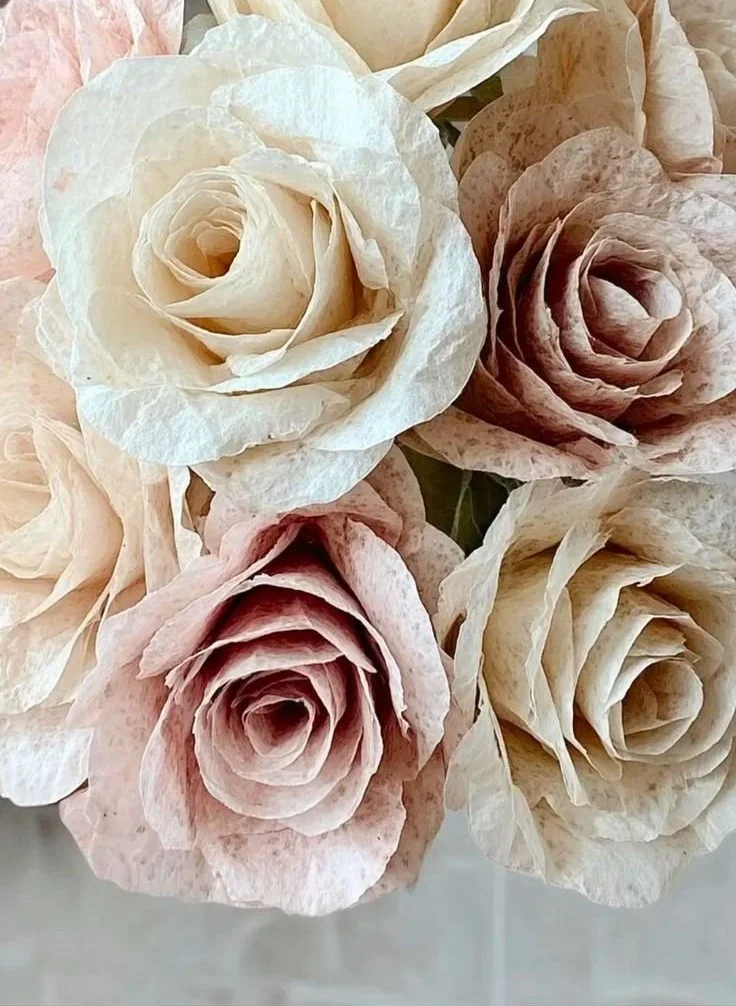 Coffee Filter Flowers and Simple Paper Crafts