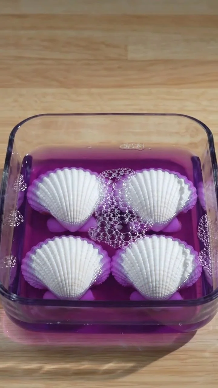 Crystal growing seashells transform simple shells into sparkling ocean-inspired treasures ✨ A magical science DIY. Save this project!