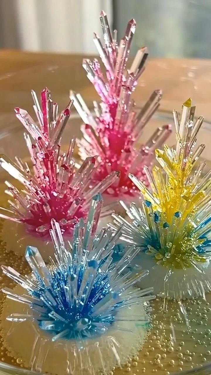DIY crystal coral reef grows into a vibrant underwater-inspired structure ✨ Watch crystals spread like ocean life. Save this DIY!