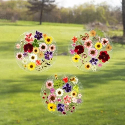 DIY pressed flower sun catcher with colorful flowers and sunlight