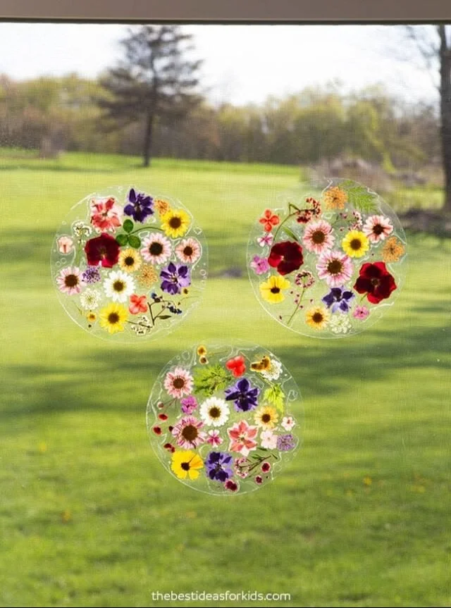 DIY Pressed Flower Sun Catcher