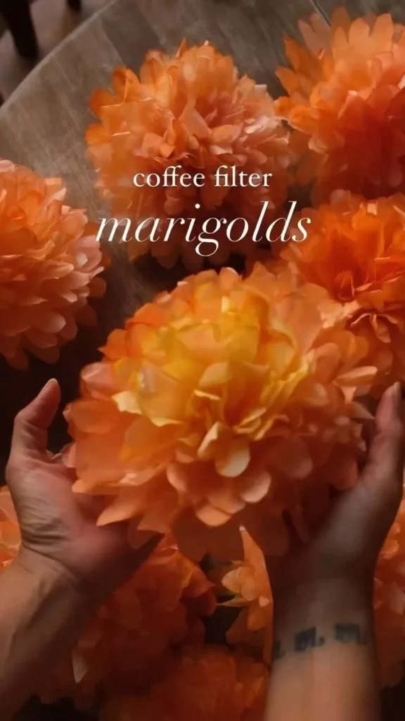 Vibrant marigolds in full bloom showcasing their beautiful orange hues