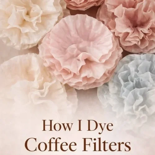 Color dyed coffee filters in various vibrant shades for crafts.