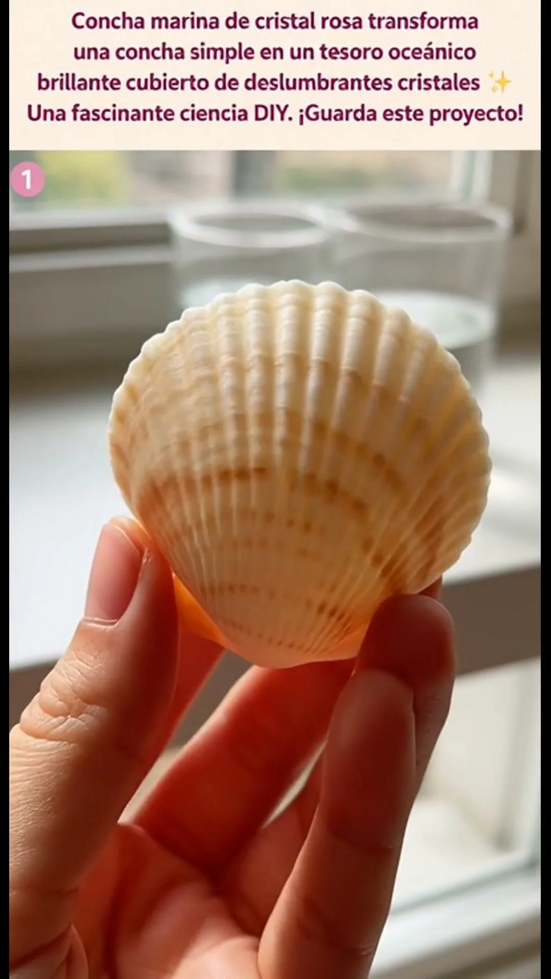 Concha marina de cristal rosa transforma una concha simple en un tesoro oceánico brillante cubierto de deslumbrantes cristales. Una fascinante ciencia DIY. ¡Guarda este proyecto!