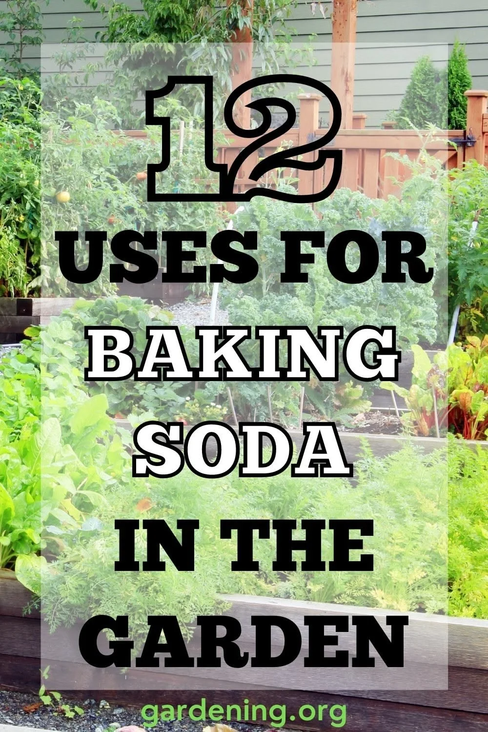 12 Amazing Uses for Baking Soda in the Garden