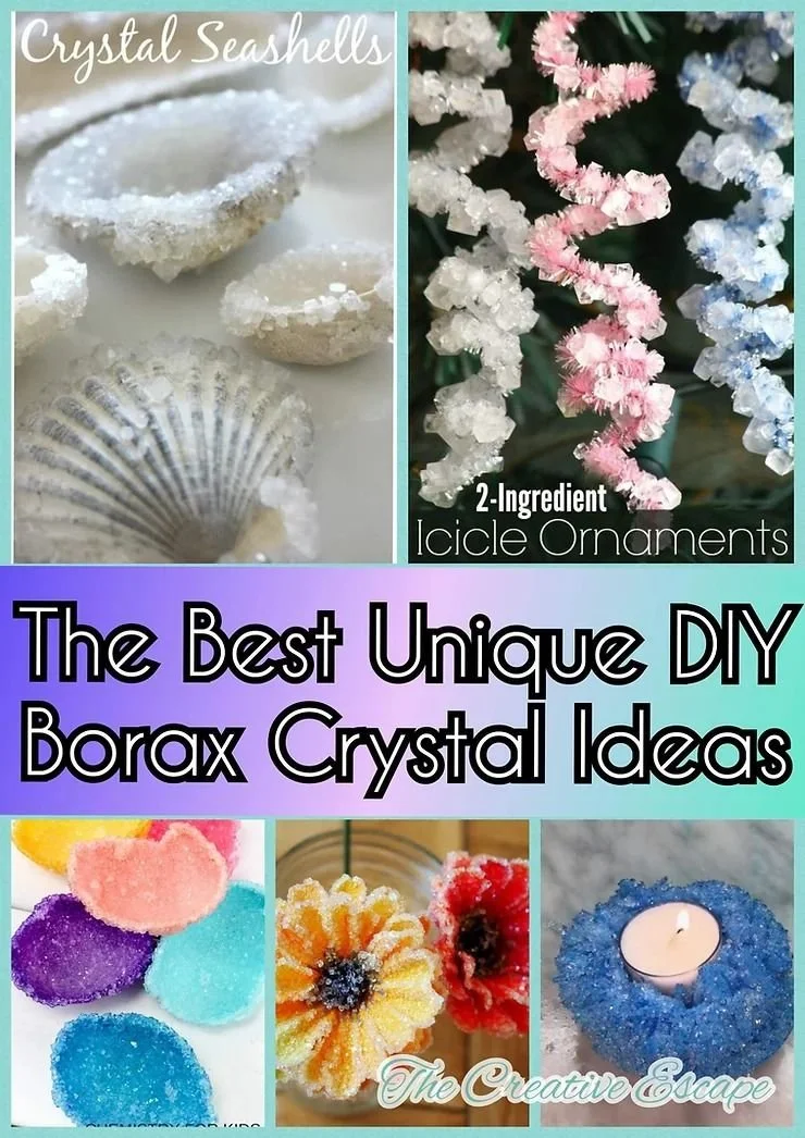 Borax Crystal Experiments: Creative Science and Art Ideas for Home Decor