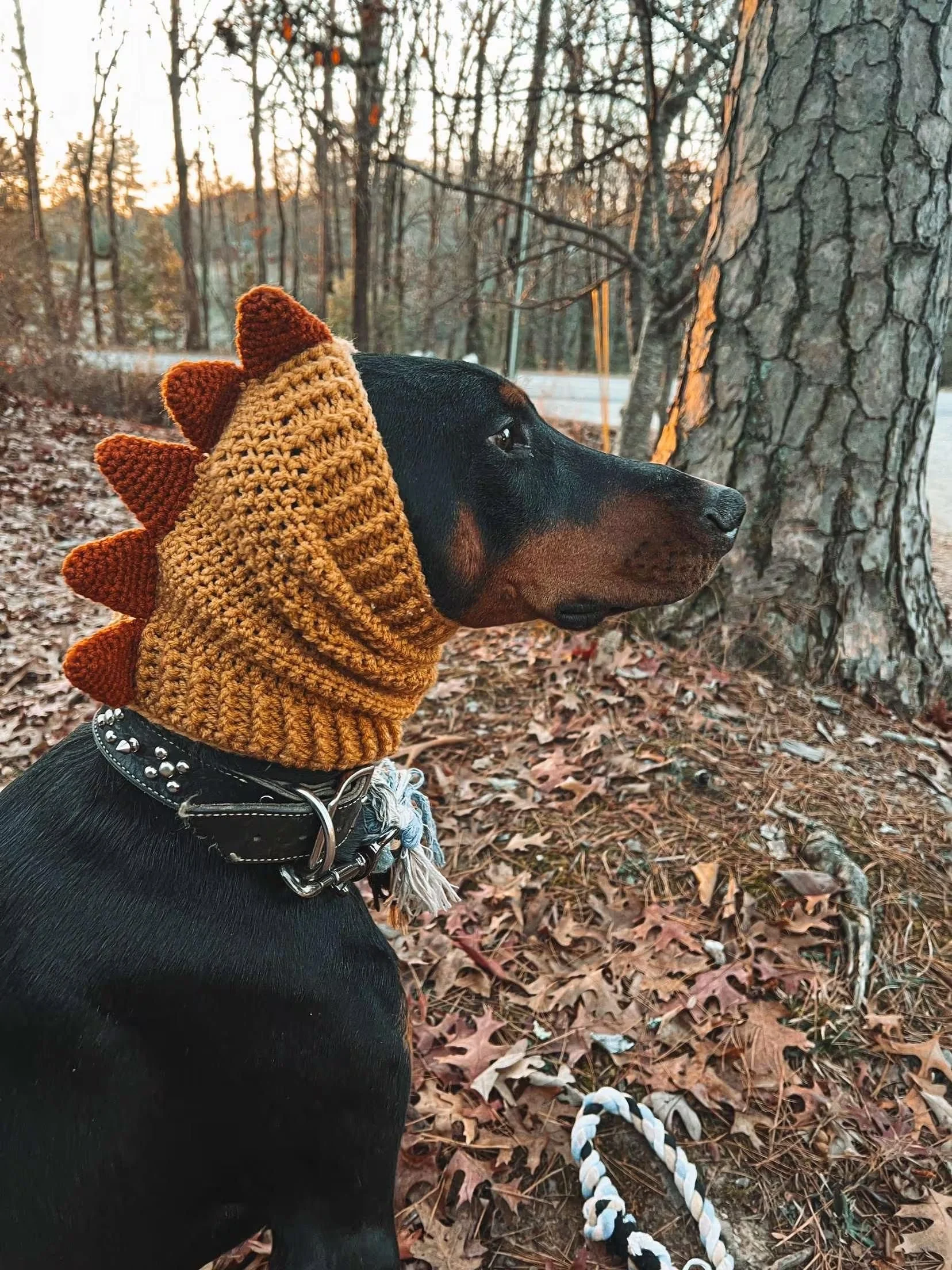 Dinosaur Dog Snood: Cute Pet Gear
