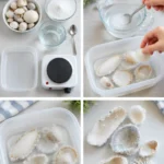 DIY Shell Crystal Craft for Kids