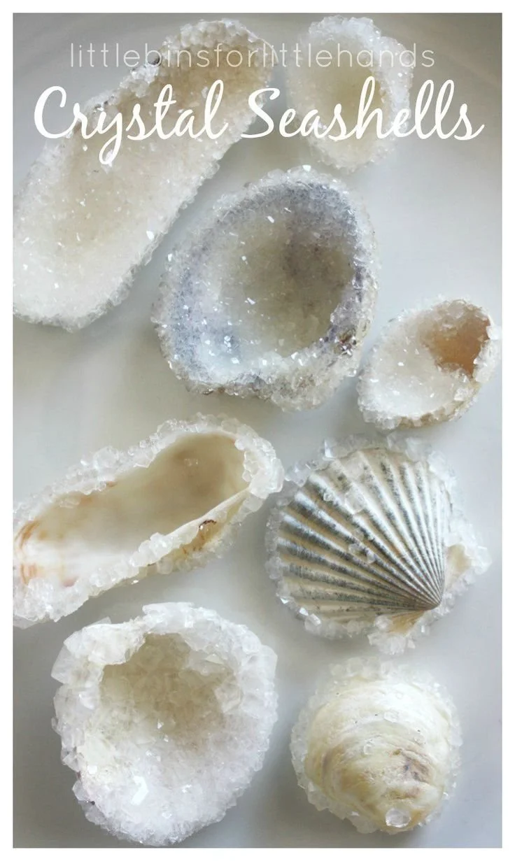 Shell Crystal Craft - Little Bins for Little Hands