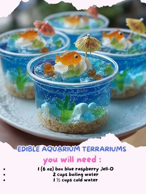 Recycle, Reuse and Repurpose  !! | Edible Aquarium Terrariums | Facebook