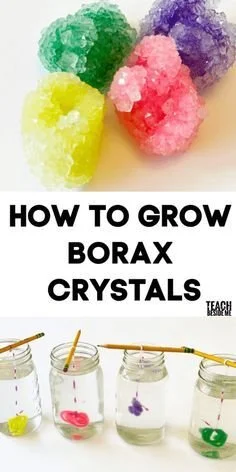 Growing Borax Crystals on Pipe Cleaners